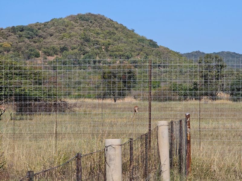 Farm For Sale In Rustenburg - Photo 8