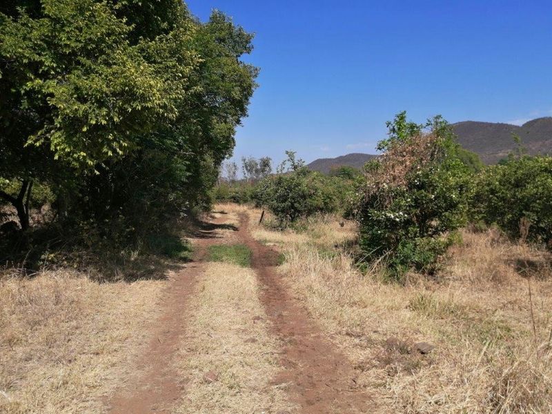 Farm For Sale In Mooinooi - Photo 7