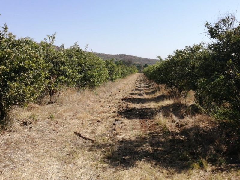 Farm For Sale In Mooinooi - Photo 9