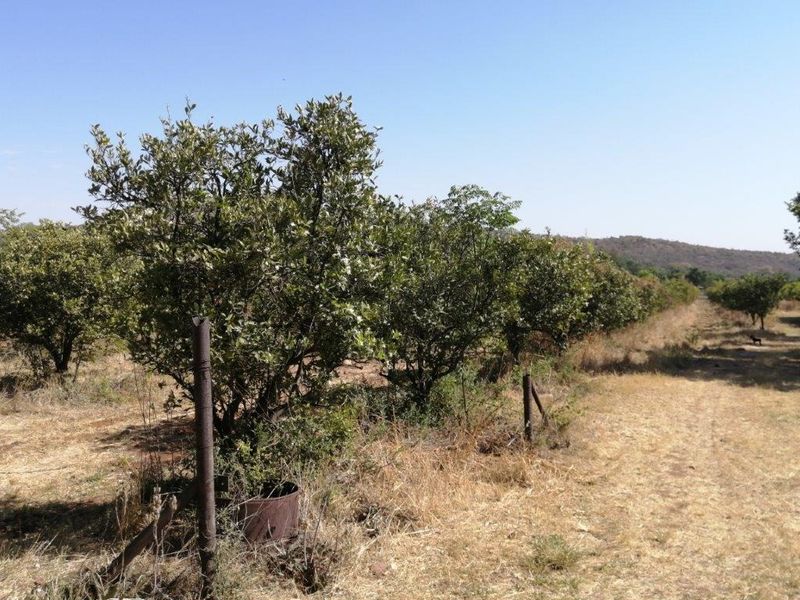 Farm For Sale In Mooinooi - Photo 8