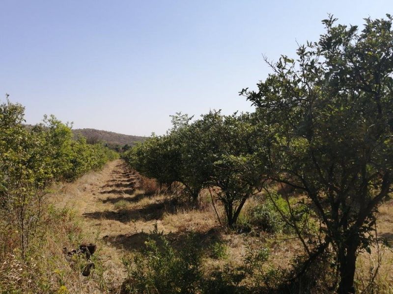 Farm For Sale In Mooinooi - Photo 6