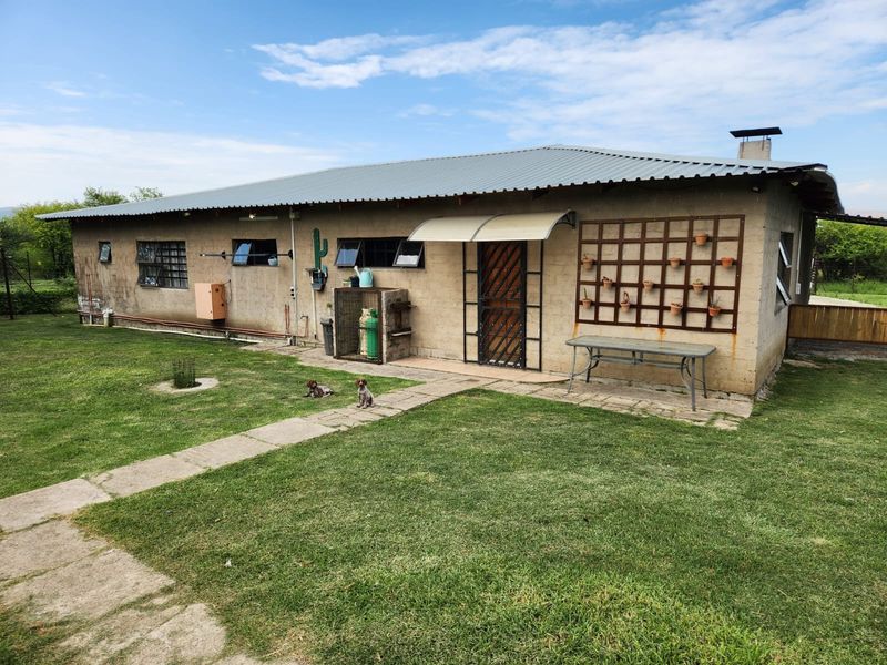 Rear view of a farm-style dwelling featuring a corrugated metal roof, security gate, and paved walkway set within a grassy garden area.