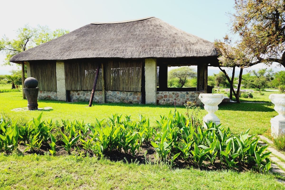An open-air thatched lapa featuring stone masonry base and reed screening, set within a landscaped garden area.