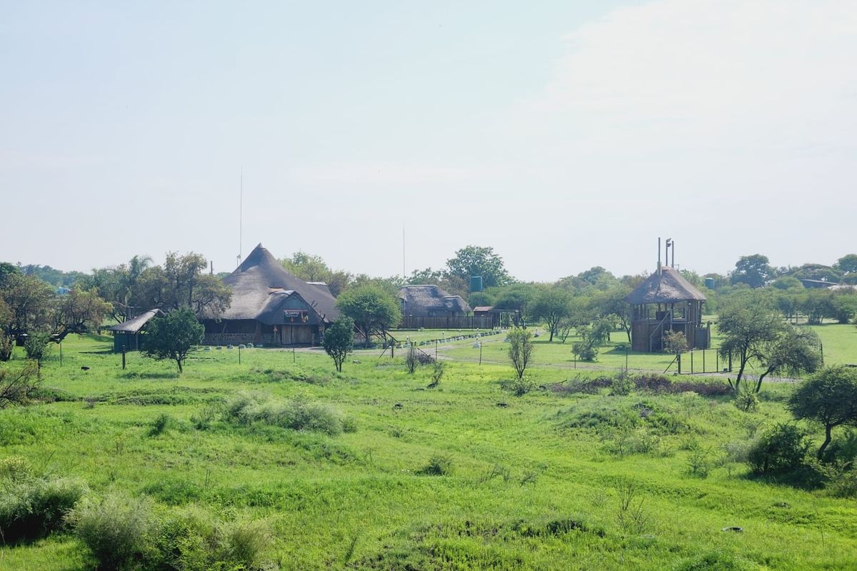 An aerial view of a farm property featuring multiple thatched roof buildings set within expansive green grounds and natural landscape.