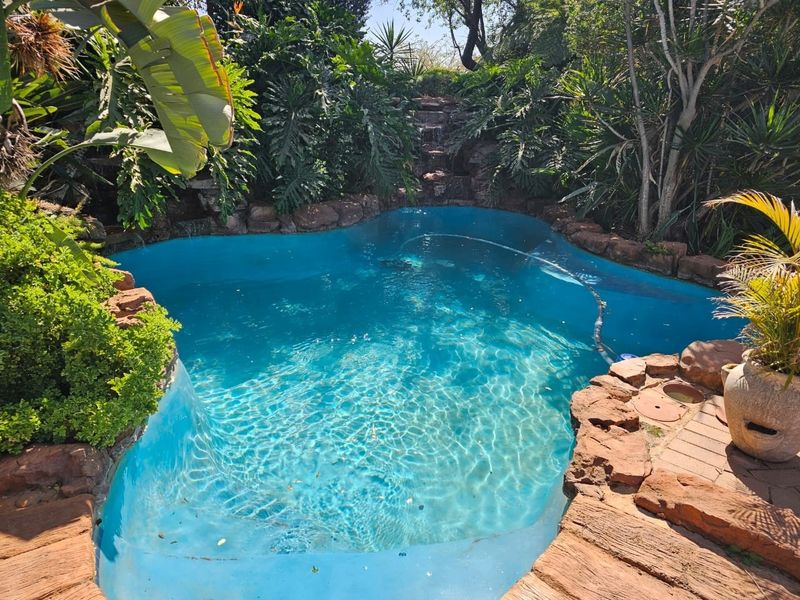 A landscaped swimming pool area featuring natural rock edging, lush tropical greenery, and a small integrated water feature.