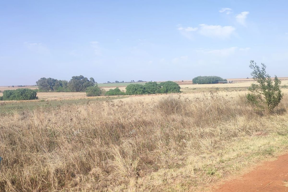 A wide-angle view of an expansive, undeveloped residential land plot featuring natural dry grass, scattered trees, and an adjacent dirt access road.