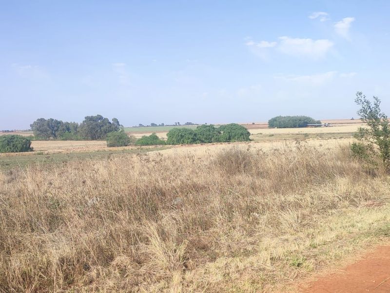 A wide-angle view of an expansive, undeveloped residential land plot featuring natural dry grass, scattered trees, and an adjacent dirt access road.