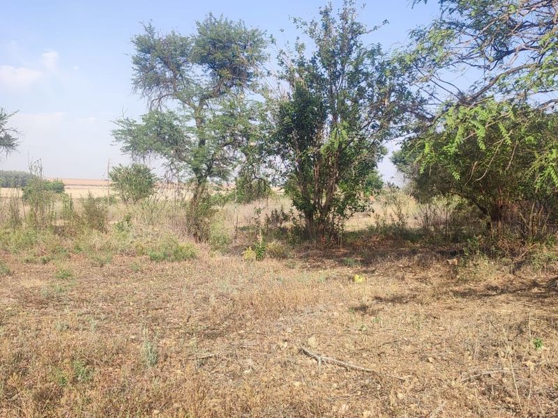 A view of the vacant residential land featuring mature trees and existing wire fencing, offering a natural landscape setting.
