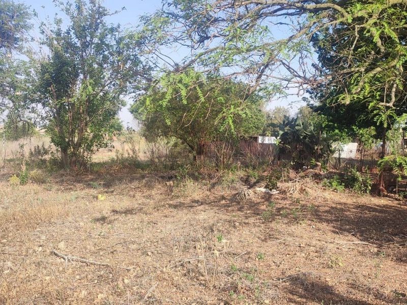 A view of a vacant residential plot featuring established trees and natural vegetation, offering a blank canvas for future development.