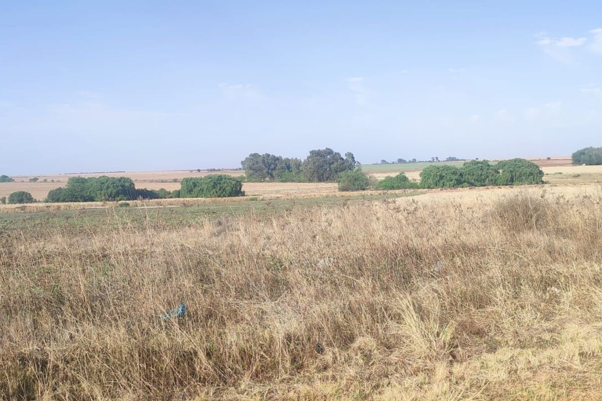 A wide-angle view of open, undeveloped residential land featuring natural grassland and scattered mature trees under a clear sky.