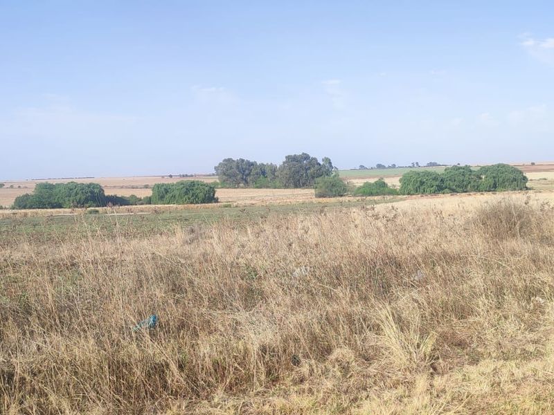 A wide-angle view of open, undeveloped residential land featuring natural grassland and scattered mature trees under a clear sky.