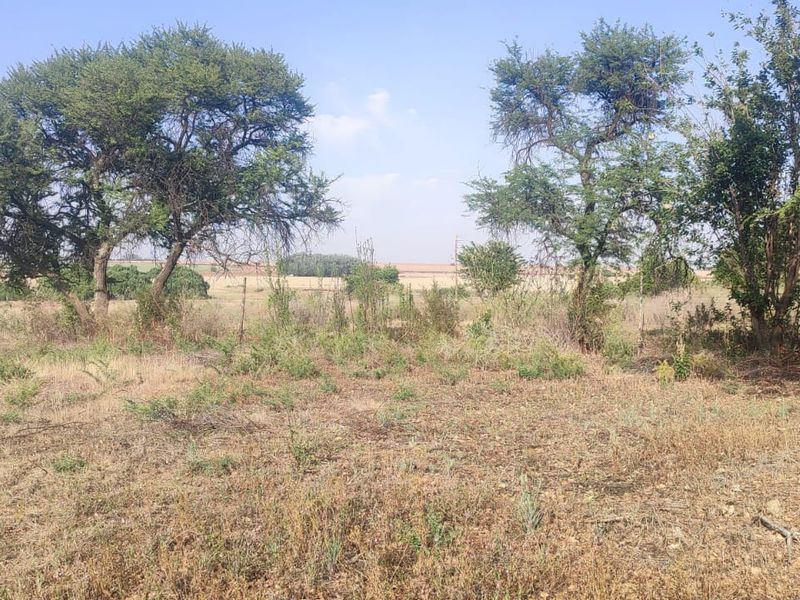 A view of the vacant residential land featuring established trees and natural vegetation, offering a blank canvas for future development.