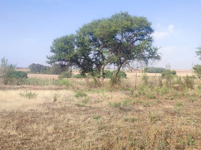 A view of the vacant residential land featuring natural vegetation, mature trees, and existing perimeter fencing.
