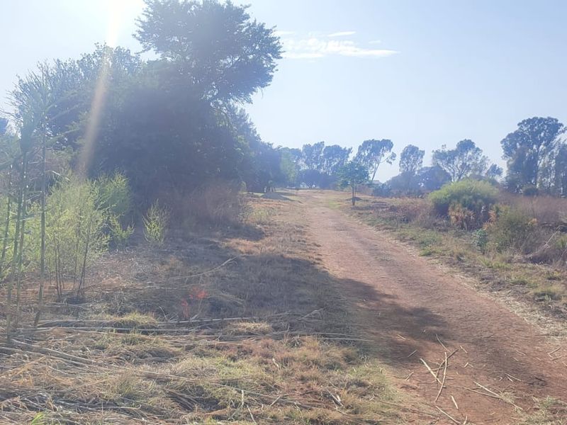 A view of a vacant residential plot featuring a dirt path surrounded by natural vegetation and mature trees.