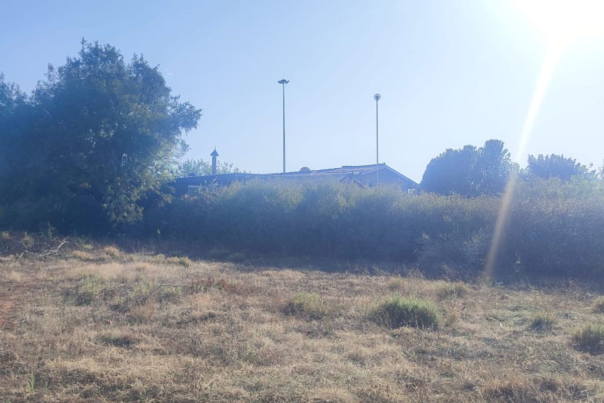 A view of the rear of the property featuring mature trees, established hedging, and tall floodlight poles on the land.