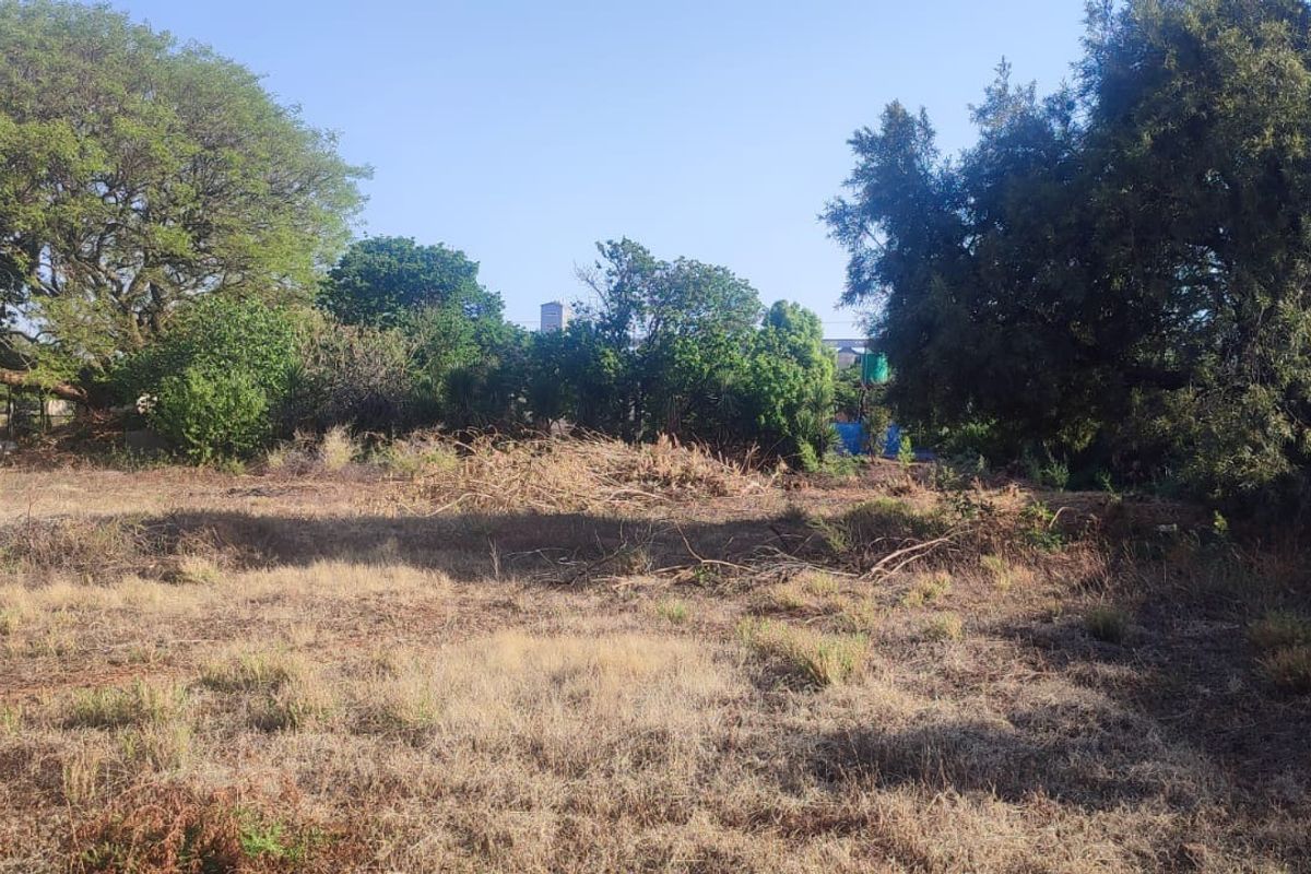 A vacant residential plot featuring mature trees and natural vegetation, offering a blank canvas for future development.