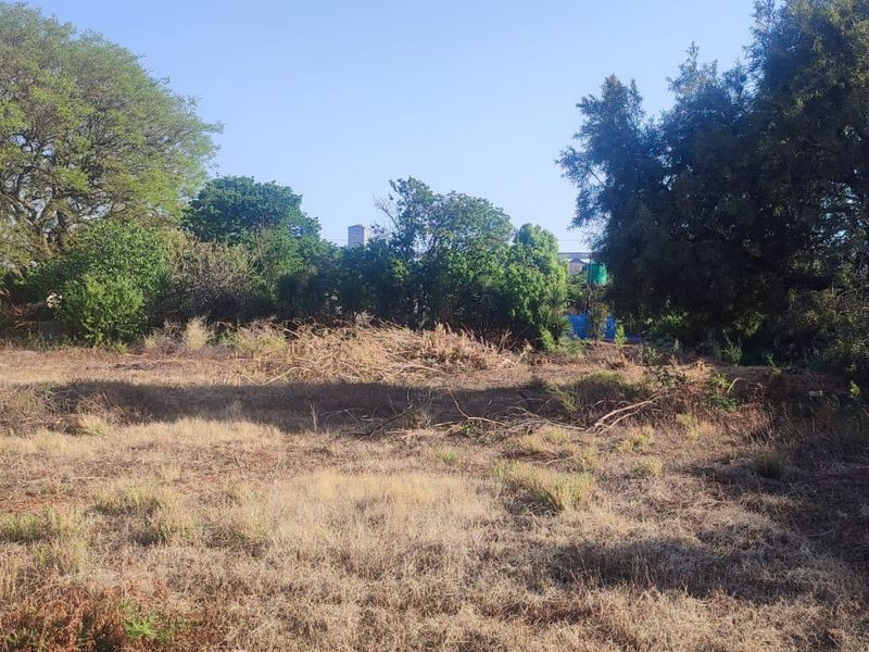 A vacant residential plot featuring mature trees and natural vegetation, offering a blank canvas for future development.