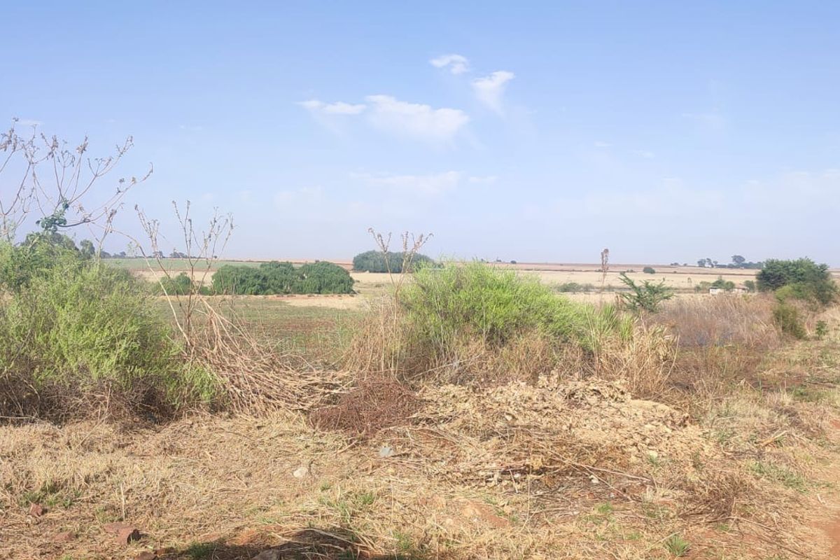 A view of a vacant residential plot featuring natural vegetation and an adjacent dirt access road under a clear sky.