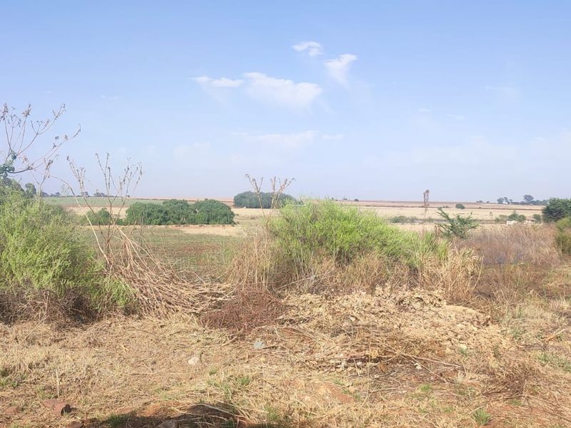 A view of a vacant residential plot featuring natural vegetation and an adjacent dirt access road under a clear sky.