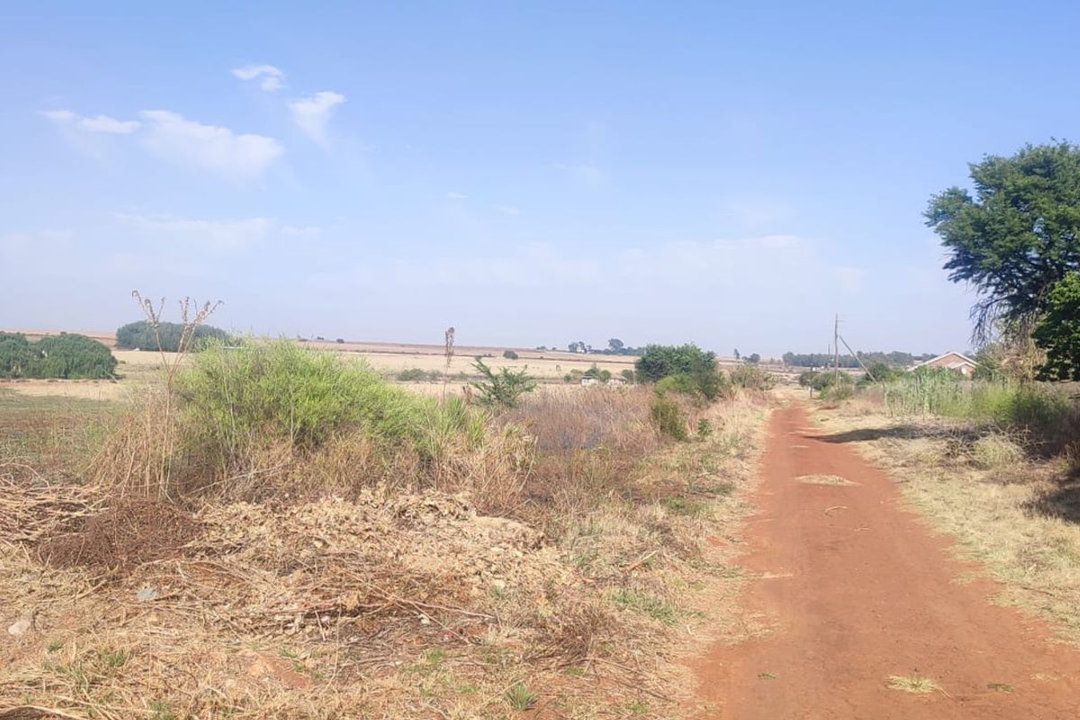 A view of the vacant residential land featuring a dirt access road and natural landscape.
