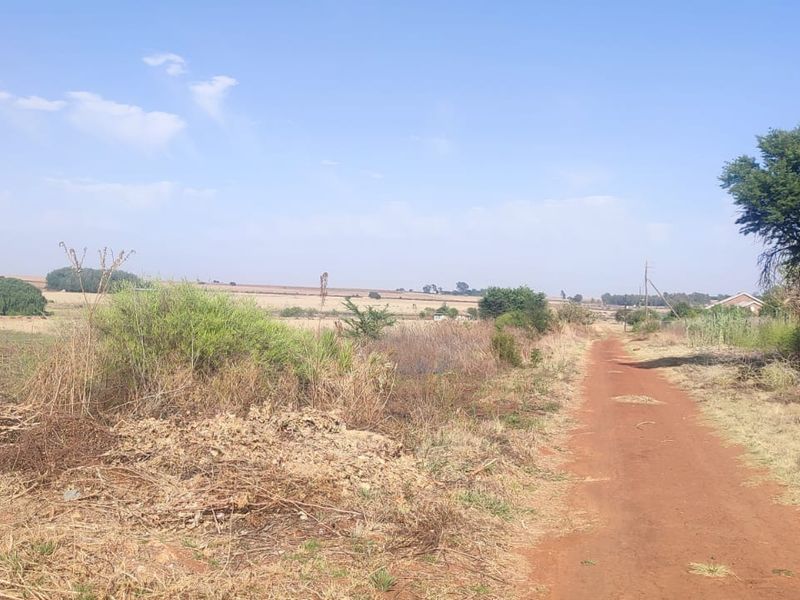 A view of the vacant residential land featuring a dirt access road and natural landscape.