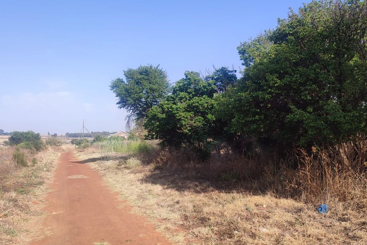 A view of a dirt access road leading through a vacant residential plot with established trees and natural vegetation.