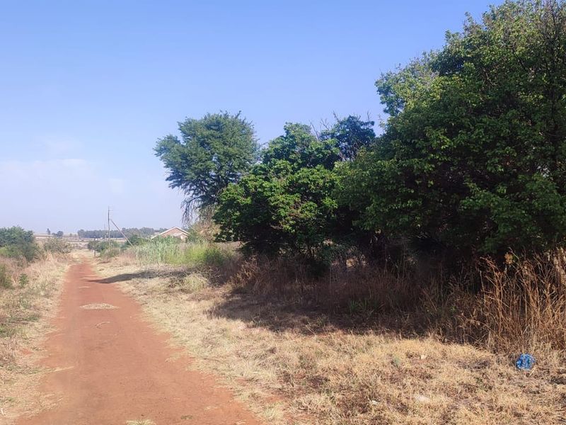 A view of a dirt access road leading through a vacant residential plot with established trees and natural vegetation.
