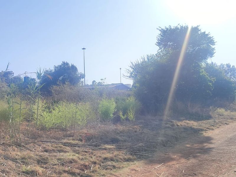 A view of a vacant residential plot featuring natural vegetation, shrubs, and an unpaved access path.