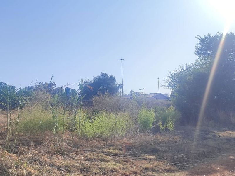 A view of the vacant residential land featuring natural vegetation, shrubs, and an unpaved access path under clear sky conditions.