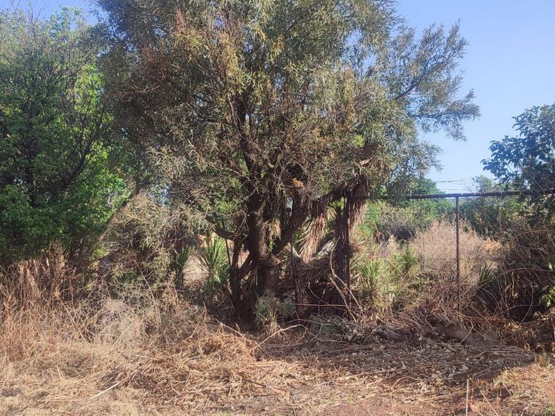 A view of a vacant residential plot featuring mature trees, dense overgrown vegetation, and existing perimeter wire fencing.