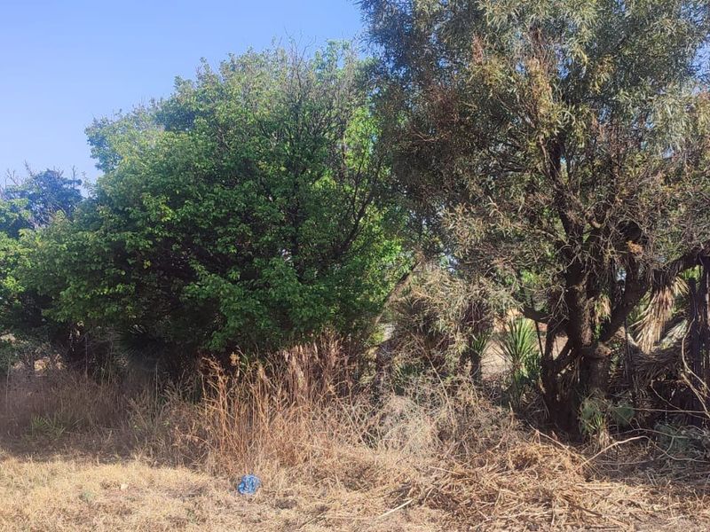 A view of the vacant residential land featuring established trees and natural vegetation, suitable for future development.