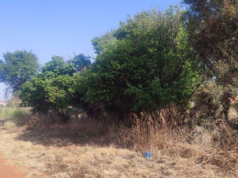 A view of a vacant residential plot featuring natural vegetation, mature trees, and an unpaved access path.