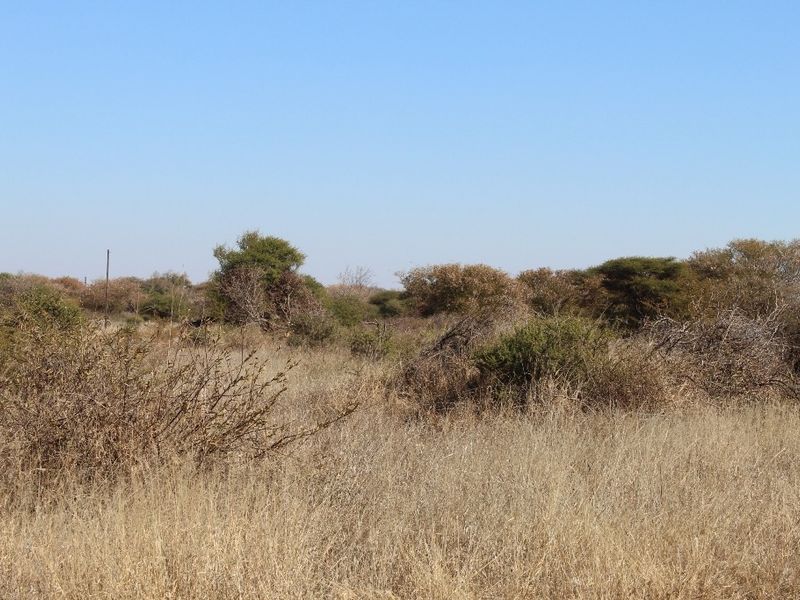 A view of the vacant residential land featuring natural dry grass and indigenous shrubbery under a clear blue sky.