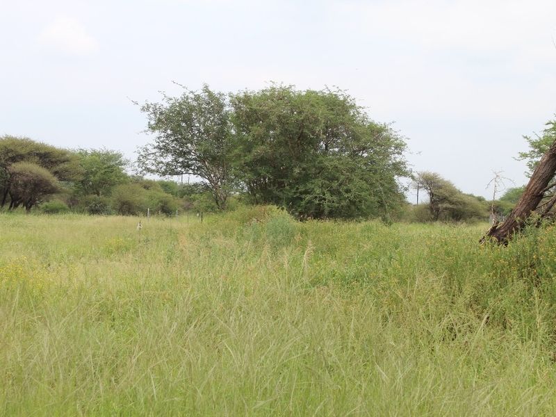 A view of the vacant residential land featuring natural grass cover and established indigenous trees.