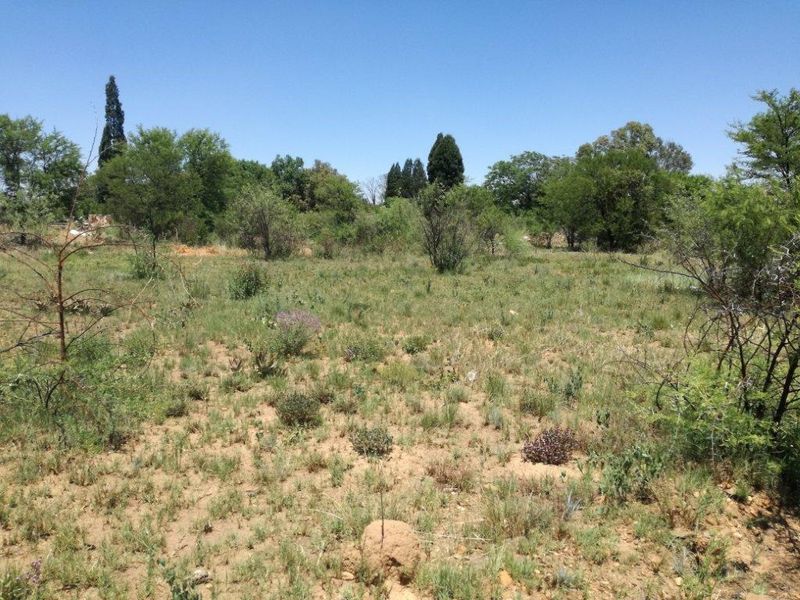 A view of a vacant residential plot featuring natural vegetation and sandy terrain, suitable for future development.