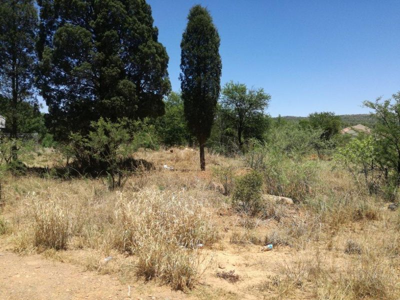 A view of the vacant residential land featuring established trees and natural vegetation.