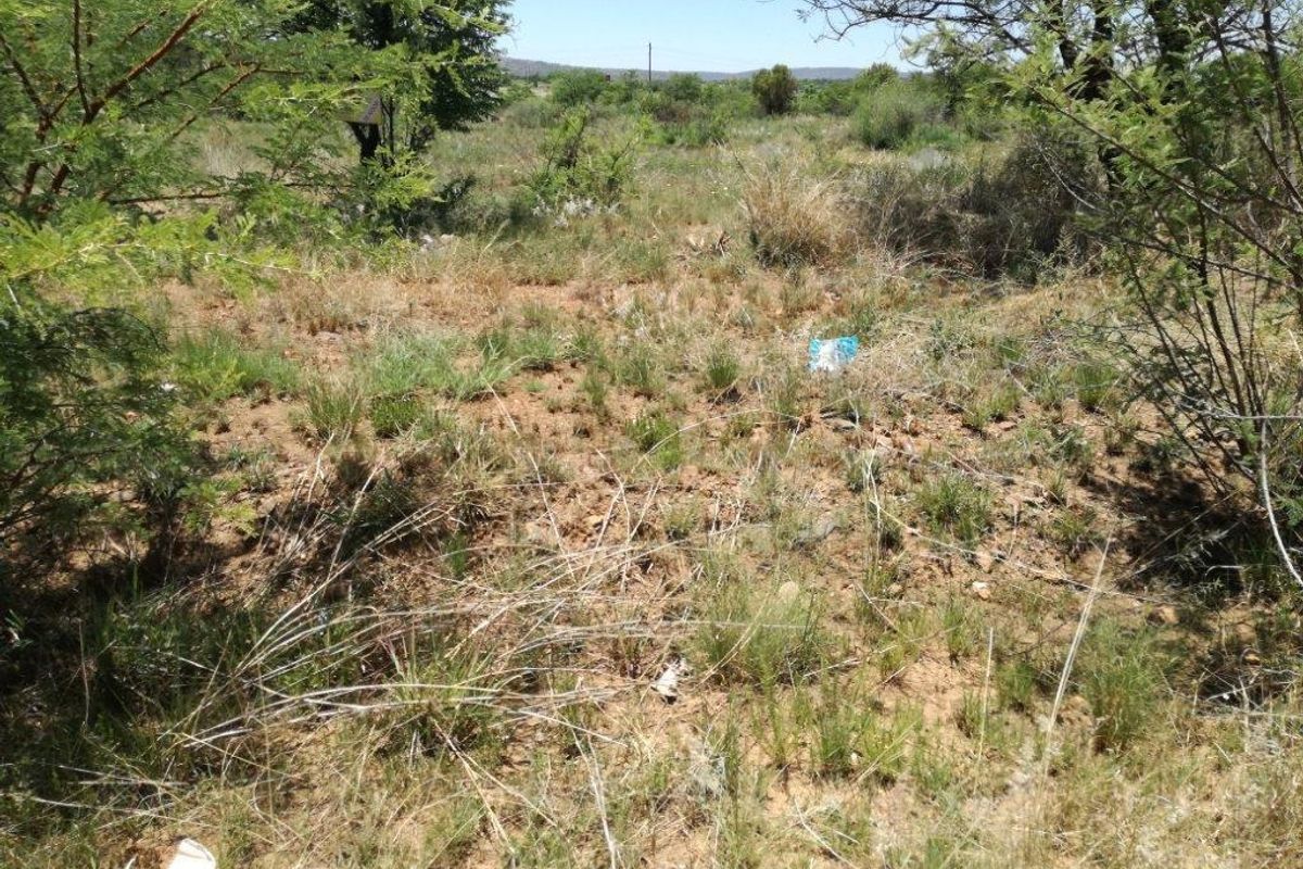 An undeveloped residential land plot featuring natural vegetation and native soil, suitable for future construction or landscaping projects.