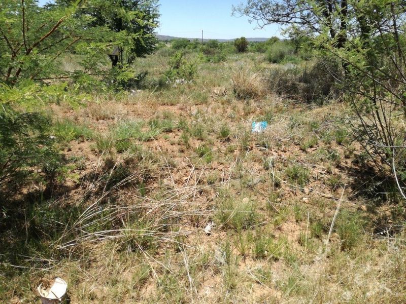 An undeveloped residential land plot featuring natural vegetation and native soil, suitable for future construction or landscaping projects.