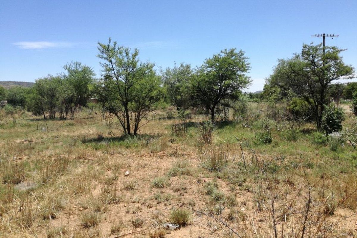 A view of a vacant residential plot featuring natural vegetation, indigenous trees, and an existing utility pole on the property.