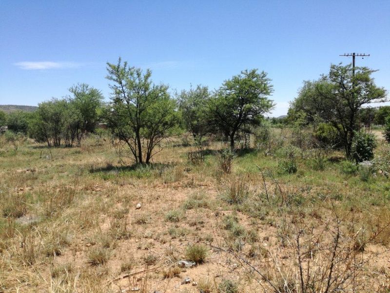 A view of a vacant residential plot featuring natural vegetation, indigenous trees, and an existing utility pole on the property.