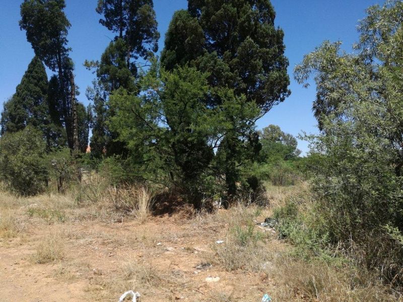 A view of the vacant residential land featuring mature trees and natural vegetation, requiring clearing and site preparation for development.