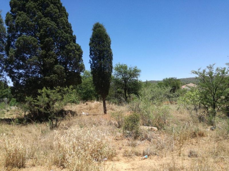 A view of the vacant residential land featuring established trees and natural vegetation across the plot.