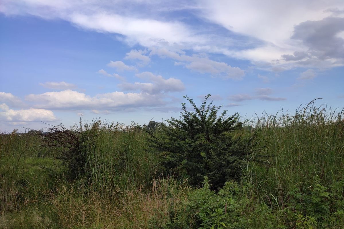 Vacant Land Residential For Sale In Koster - Photo 4