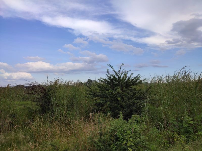 Vacant Land Residential For Sale In Koster - Photo 4