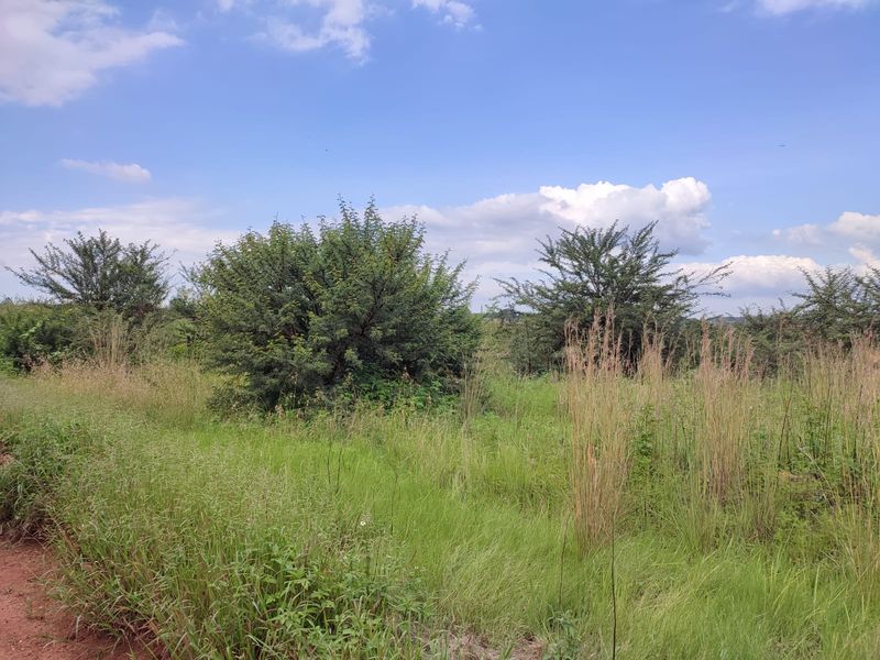 Vacant Land Residential For Sale In Koster - Photo 9
