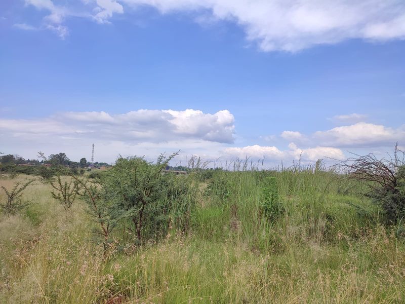 Vacant Land Residential For Sale In Koster - Photo 6