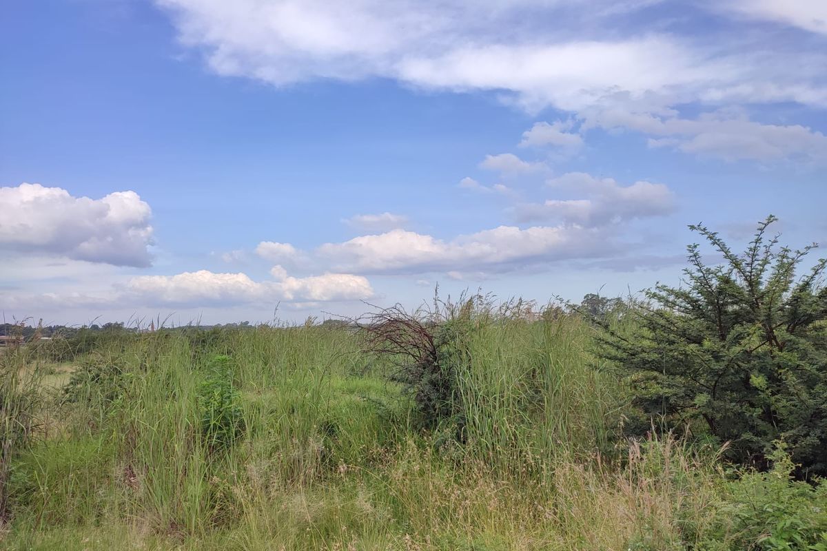 Vacant Land Residential For Sale In Koster - Photo 5