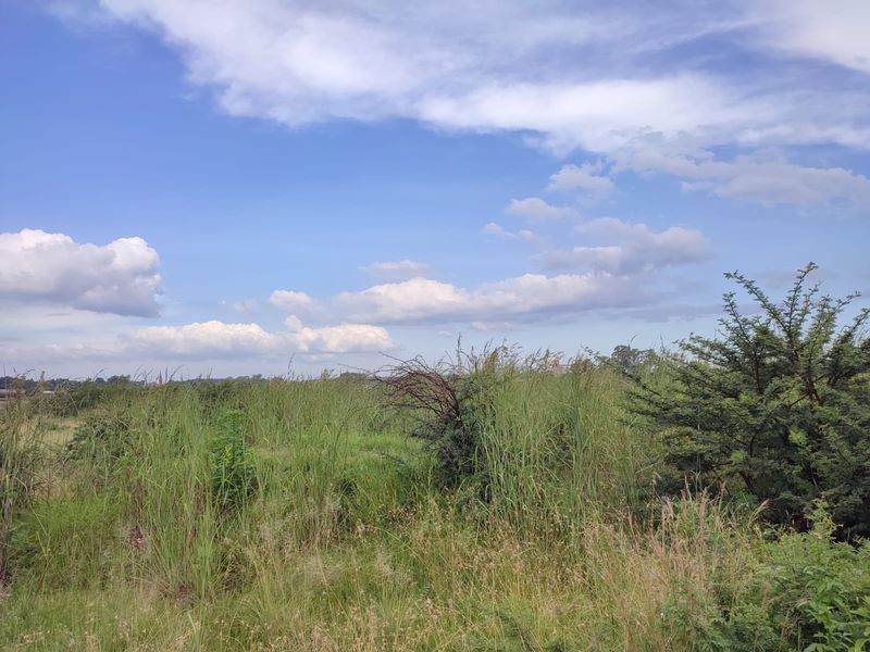 Vacant Land Residential For Sale In Koster - Photo 5