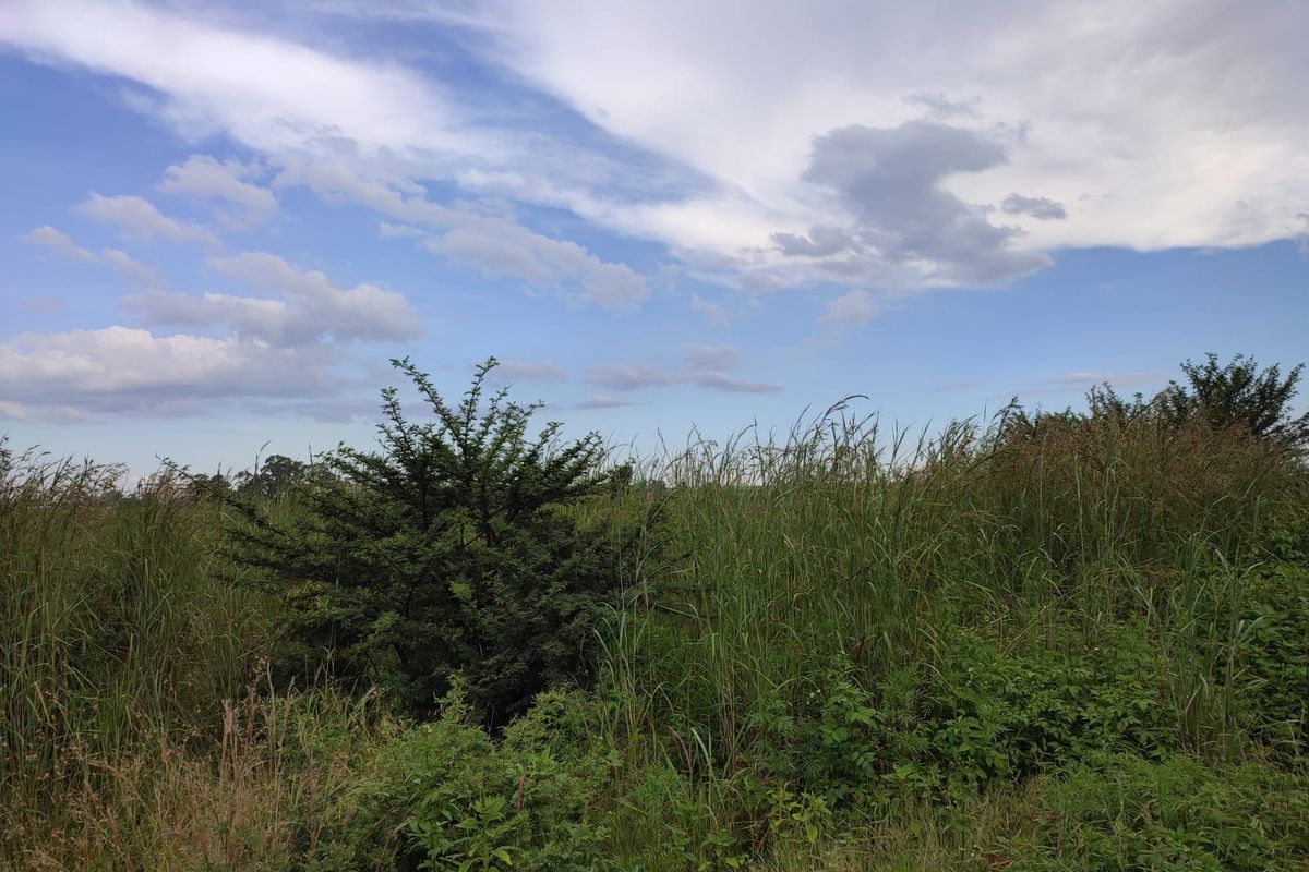 Vacant Land Residential For Sale In Koster - Photo 3