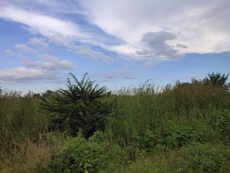 Vacant Land Residential For Sale In Koster - Photo 3